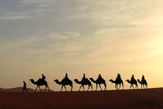 Fez to Marrakech via Merzouga Desert - 3 Day Desert Tour - Inclusions and Exclusions