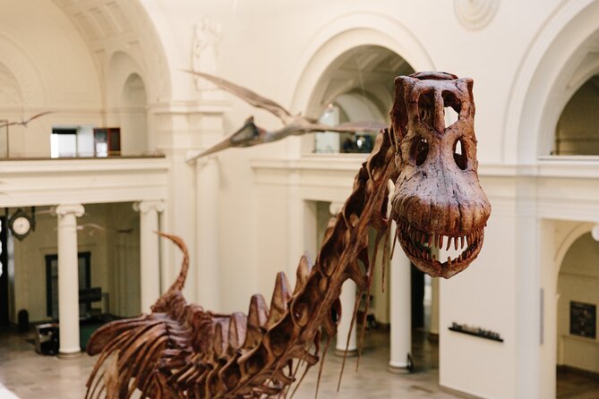 Field Museum of Natural History Early Access Ticket - Museum Overview