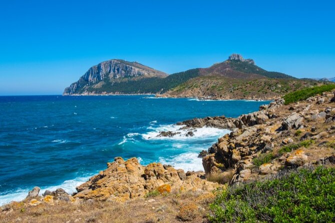 Figari Airport & City Private Transfer - Pricing and Booking Details