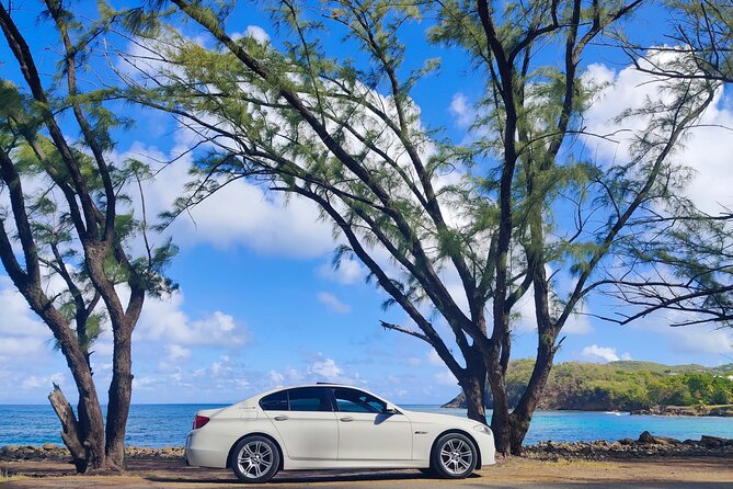 First Class Private Transfers From UVF Airport to Any SANDALS Resort (Roundtrip) - Overview of the Service