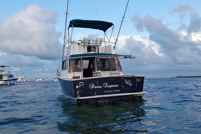 FISHING PRO CHARTERS - Boat Excursion - Divina - Check Availability