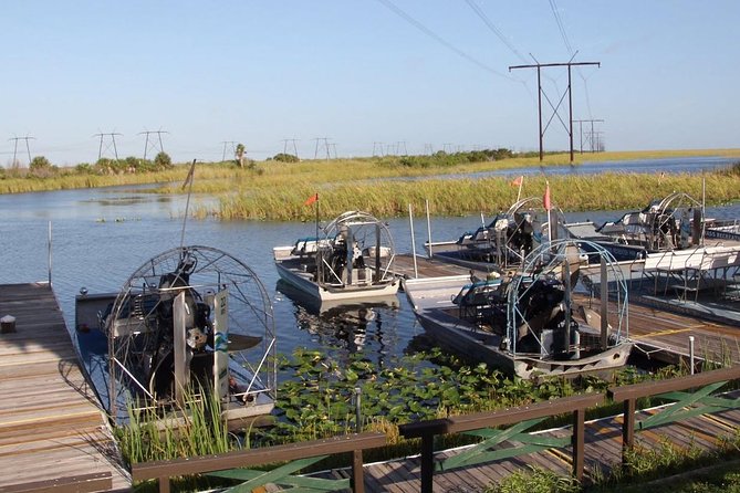 Florida Everglades Private Night Airboat Ride Tour - Tour Experience