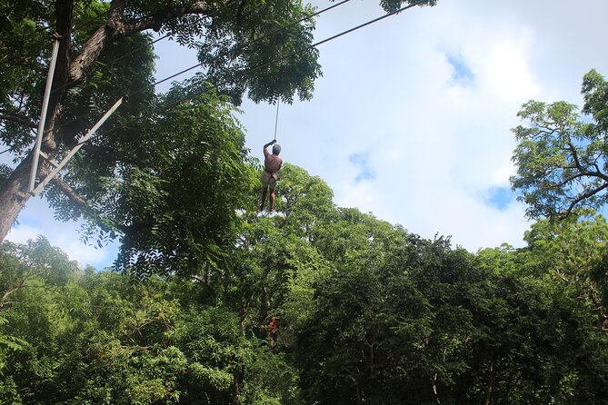 Fly Zone Treetop Zip Line Adventure at Loterie Farm - Start and End Details