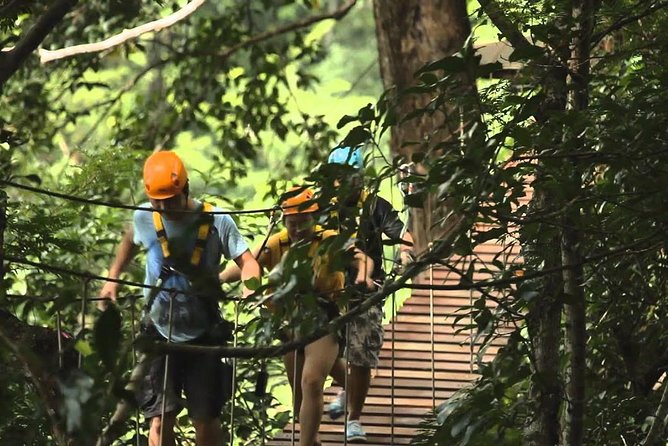 Flying Hanuman Ziplines 42 Platforms With Lunch & Transfer Roundtrips - Overview of Flying Hanuman Ziplines