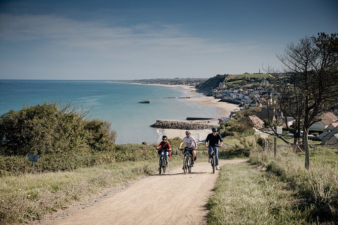 Food and Drink Half Day Private Bike Tour - Tour Inclusions