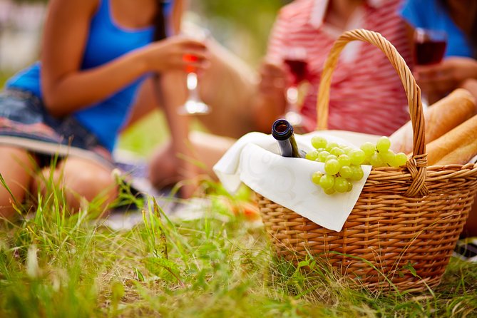 Food Tour Excursion in Provence ! - Overview