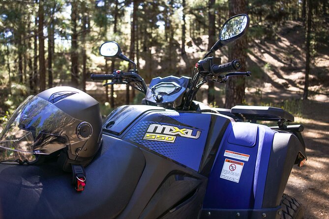 Forest & Off Road National Park Quad Biking Tour - Inclusions and Meeting Details