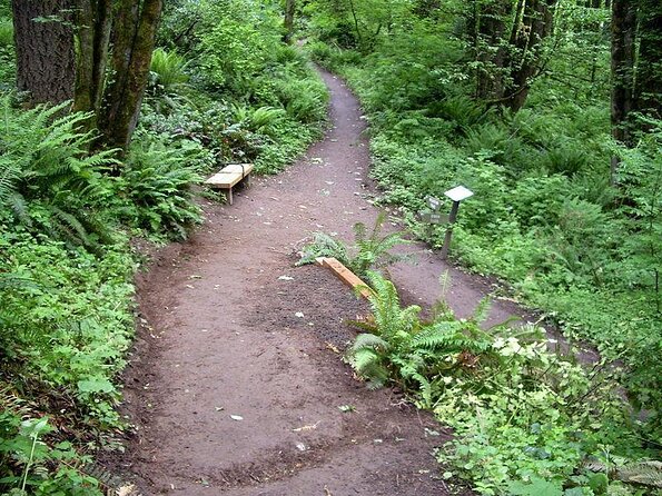Forest Park Urban Hiking Tour, Portland - Tour Details and Booking Information