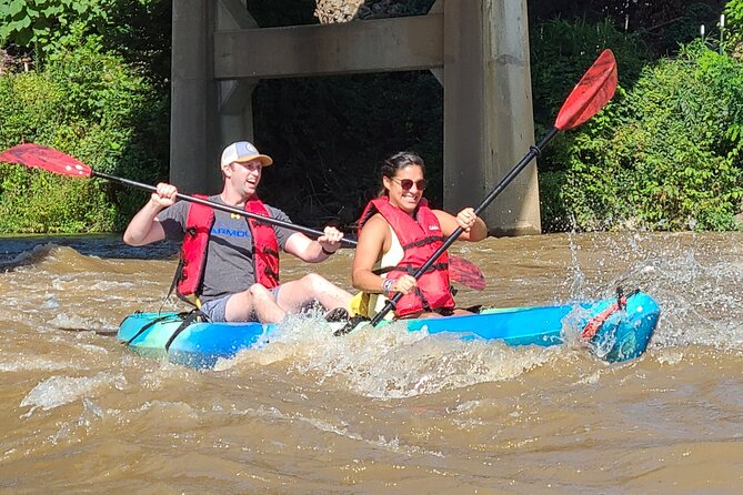 French Broad River Kayak Tour in Asheville - Tour Overview and Experience