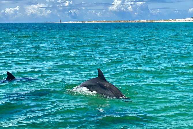 Frisky Mermaid Dolphin Tour Secluded Beach Equip - Tour Highlights