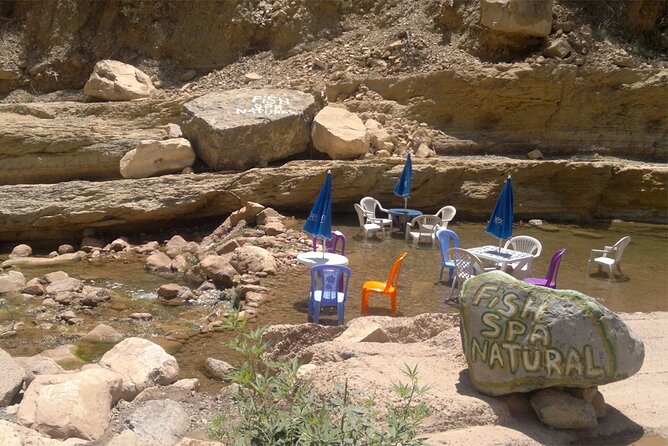 From Agadir or Taghazout: Paradise Valley & Atlas Mountains Tour - Reviews and Traveler Photos