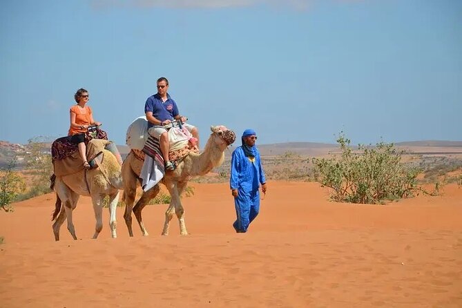 From Agadir or Taghazout: Small Desert Day Trip - Tour Overview
