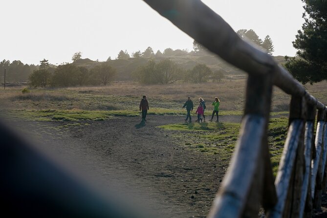 From Catania: Private Mt. Etna Trekking and Pic-Nic - Price and Booking Details
