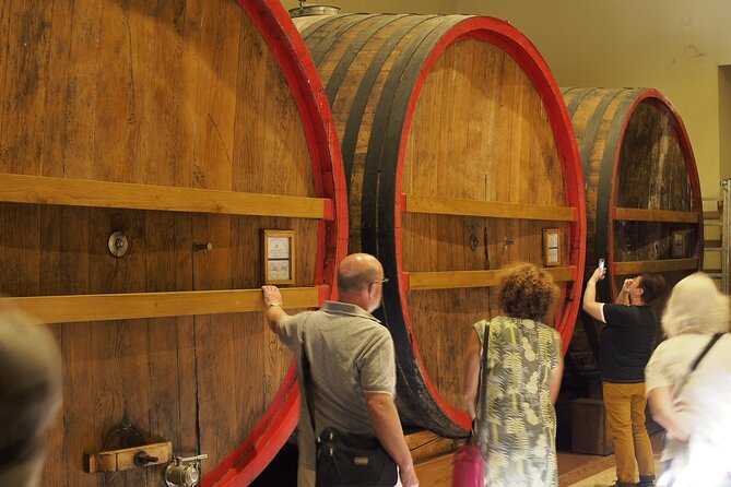 From Lake Garda: Full-Day Valpolicella Wine and Lunch Guided Trip - Trip Overview
