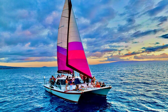 From Maalaea Harbor: Whale Watching Tours Aboard Winona Catamaran - Starting Point: Maalaea Harbor
