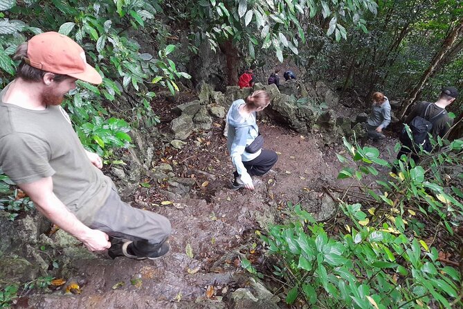 From Ninh Binh Cuc Phuong National Park One Day Trekking Tour - Cancellation Policy and Weather Requirement