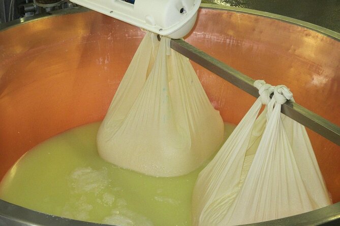 From Parma: Parmigiano,Prosciutto and Winery Tour and Tasting - Overview of the Parma Food Valley Experience