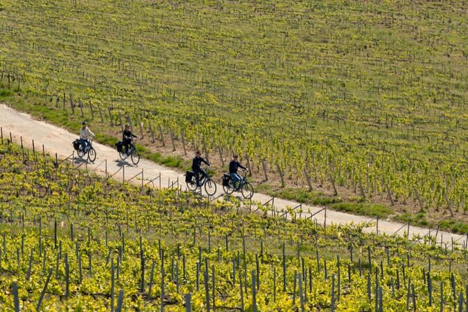 From Reims Afternoon E-Bike Tour, Visit and Champagne Tastings - What To Expect