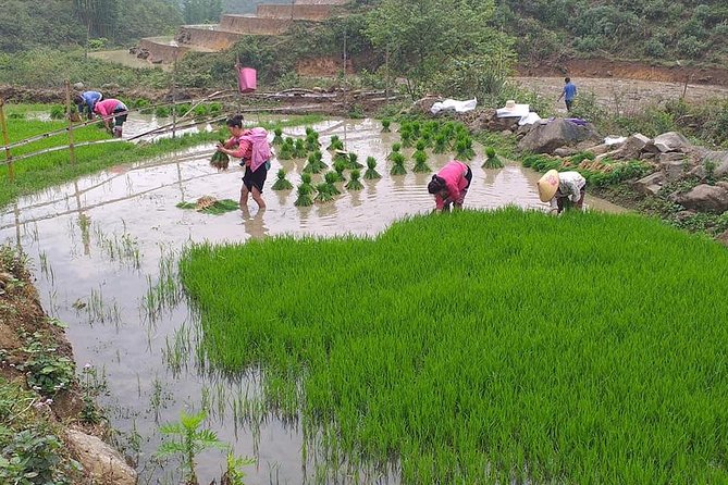 From Sapa: 2 Day Tour Through Villages and Countryside - Tour Highlights