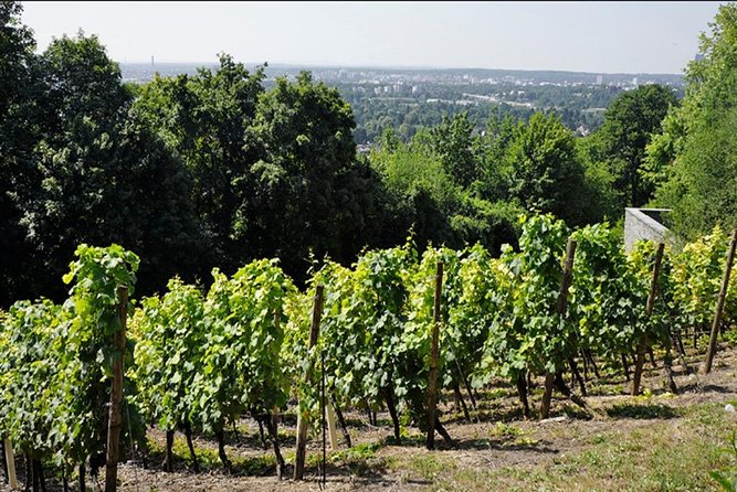 From Victoria to Cowichan Wine 6-Hour Guided Tour - Tour Details