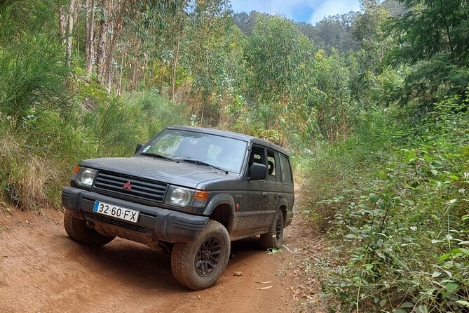 Full Day 4x4 Jeep Safari in Porto Moniz - Highlights of the Jeep Safari