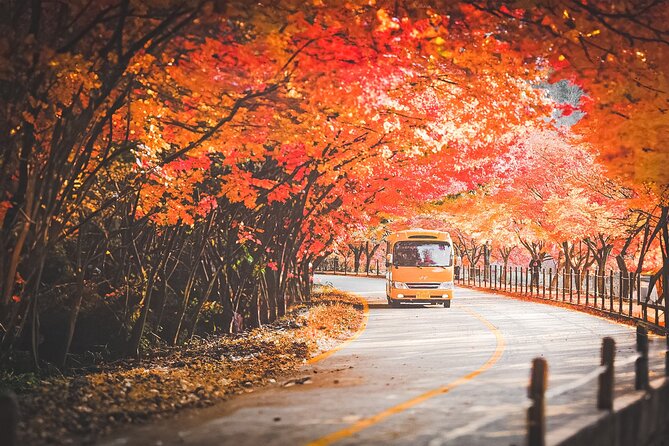 Full-Day Adventure Guided Tour From Busan to Mt Naejang - Tour Price and Booking
