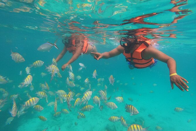 Full Day ATV Experience and Snorkeling Cruise With Open Bar - What To Expect