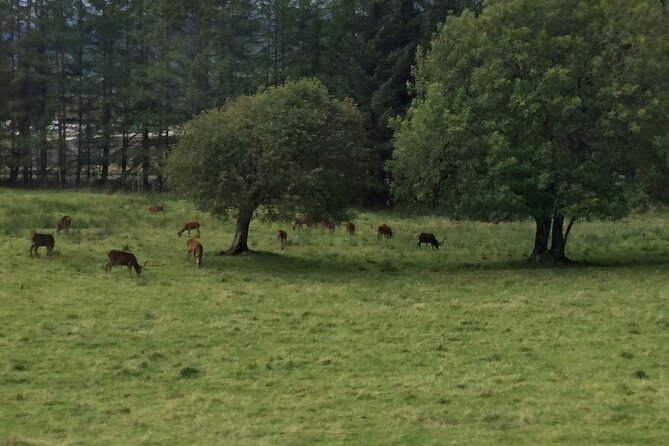 Full-Day Audio Guided Tour in Scottish Highlands and Loch Ness - Itinerary Overview