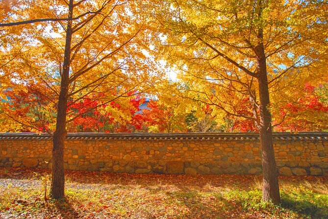 Full-Day Autumn Tour From Busan to Unmunsa Bhikkhuni Temple - What to Expect