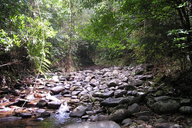 FULL-DAY BACH MA NATIONAL PARK TREKKING TOUR From HOI an - Cancellation Policy