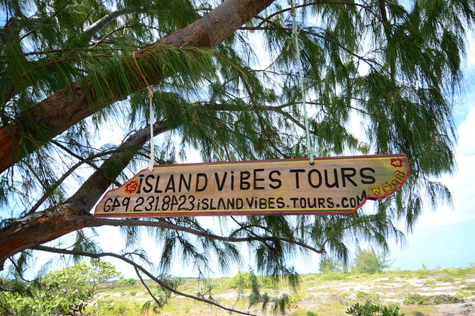 Full Day Beach BBQ Lunch & Snorkeling Excursion in Grace Bay - What to Expect During the Excursion