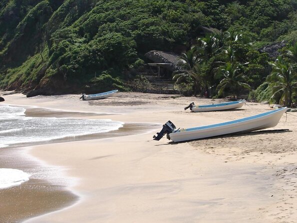 Full Day Boat Tour of the Bays and Beaches of Huatulco - Tour Overview and Activities