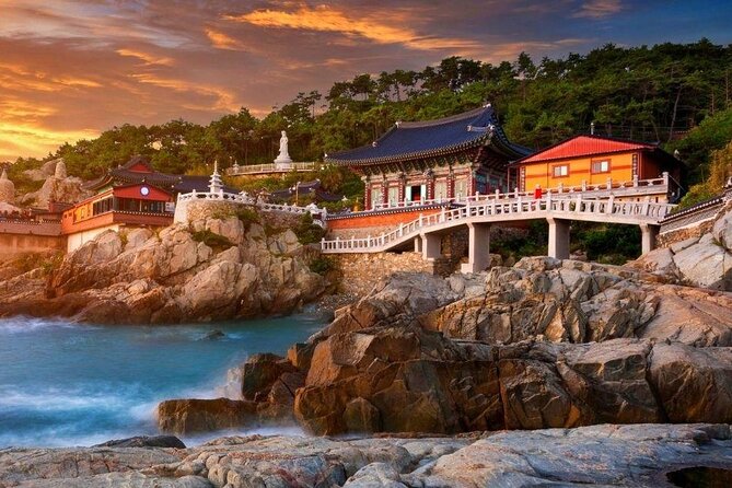 Full-Day Busan Highlights Private Guided Tour - Tour Details and Logistics