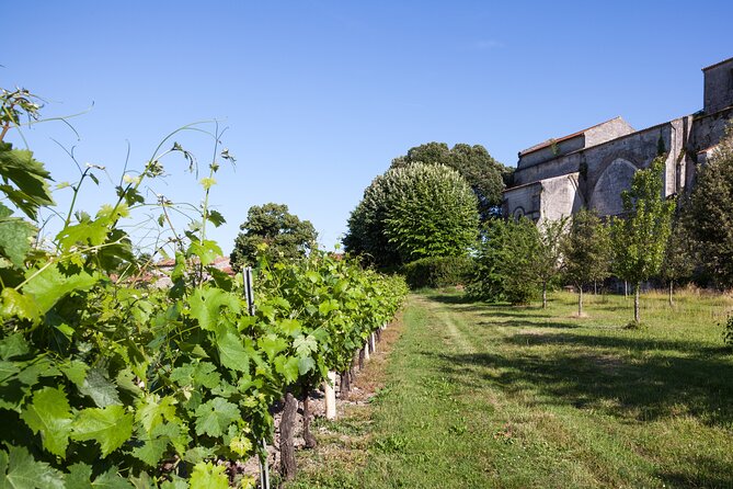 Full Day Discovering Cognac From Bordeaux - Overview and Duration