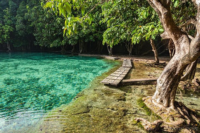 Full Day Emerald Pool and Wareerak Hot Spring Spa - Tour Highlights