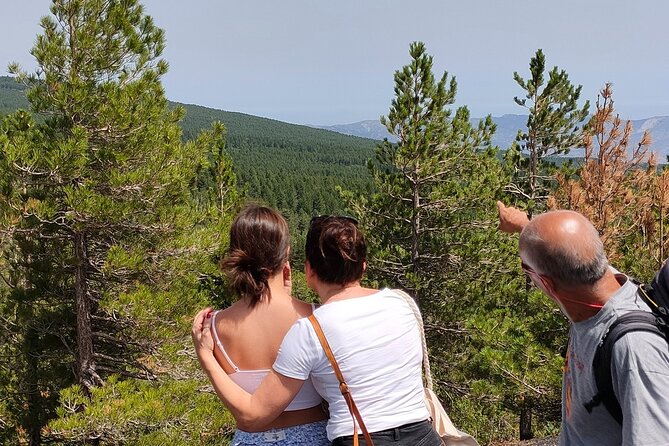 Full Day Etna Immersive Trek & Taste From Taormina and Naxos - Tour Details