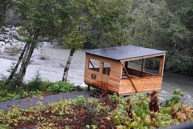 Full Day Grizzly Bear Tour to Toba Inlet - Tour Details