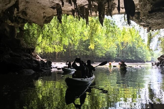 Full Day Guided Tour in Bor Thor Caves and Mangroves - Tour Highlights