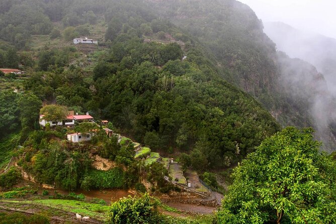 Full Day Guided Tour to La Gomera From Tenerife - Tour Highlights