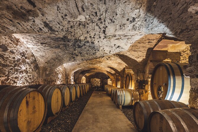 Full-Day Guided Wine Tasting Tour in Côtes De Provence - Tour Highlights