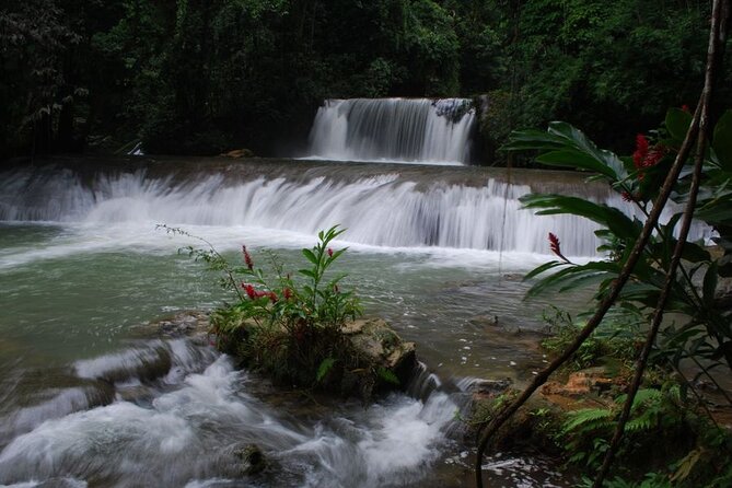 Full-Day Jamaica Apple Rum Tour  - Negril - Additional Information