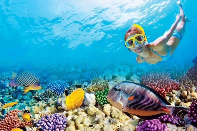 Full-Day Key West Tour and Coral Reef Snorkeling With Open Bar - Tour Details