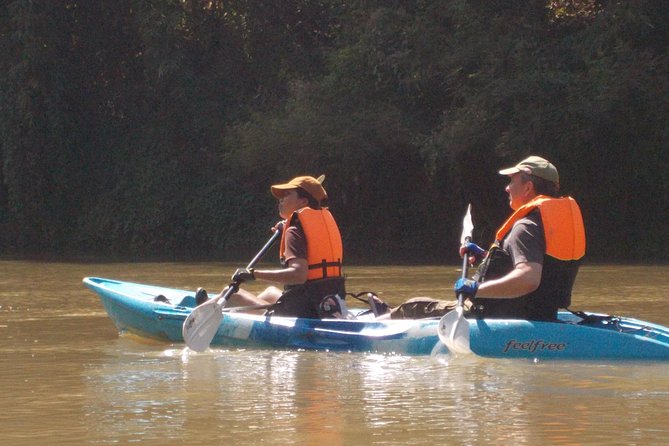 Full-Day Leisure River Kayaking Into Mae Taeng Forest Reserve From Chiang Mai - Overview and Experience