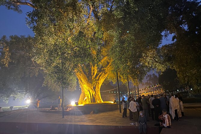 Full Day Lumbini Tour - Inclusions in Full Day Lumbini Tour