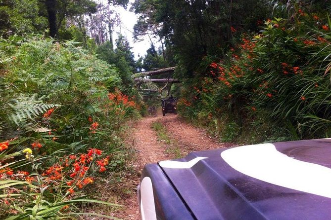 Full-Day Madeira North West Coast Safari From Funchal - Spectacular Views and Natural Pools