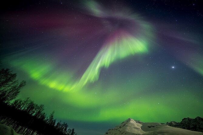 Full Day Magic of the Arctic Lights in Tromso - Best Time to See the Arctic Lights