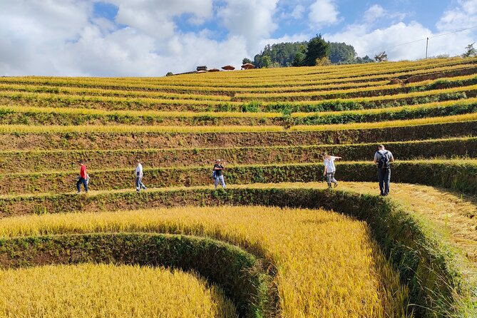 Full Day Motorbike in Mu Cang Chai. - Itinerary Overview