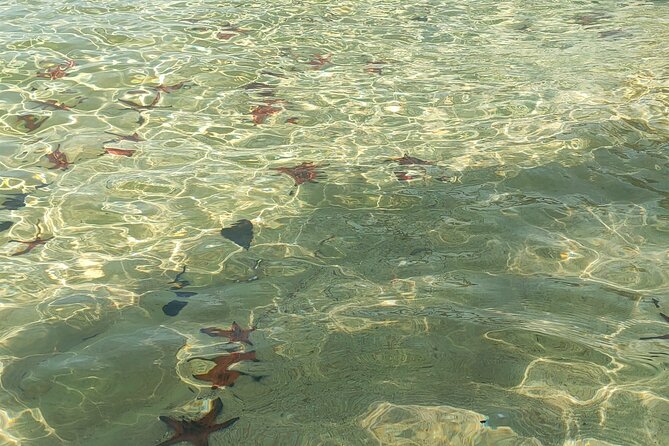 Full Day North of Phu Quoc Island Private Tour by Local Guide - Tour Highlights