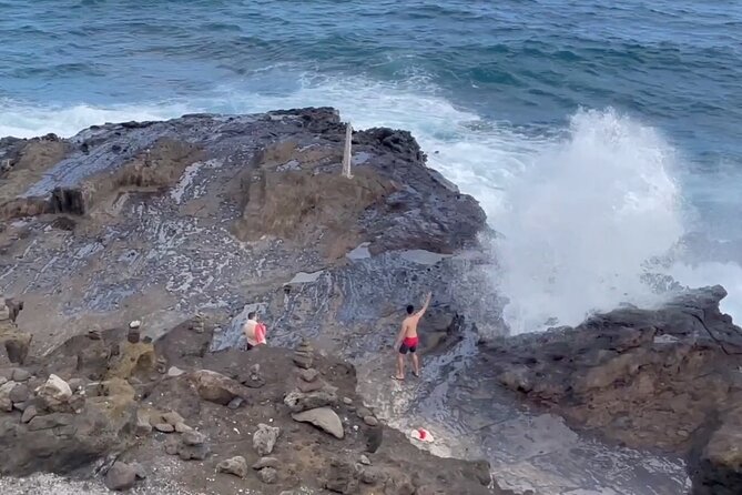 Full Day Oahu Guided Circle Island Tour Inc Snorkel and Turtles - Tour Highlights
