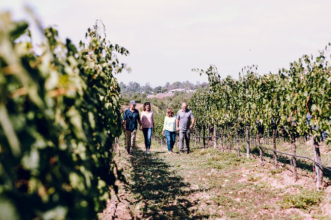 Full-Day Paso Robles Winery Tour With Picnic - Tour Details
